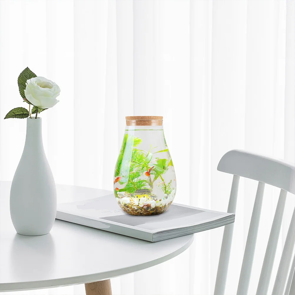 

2pcs Moss Ecological Bottle Vase 20x14cm Glass Terrarium Lid DIY Plants Container Micro Landscape Decorative Bottle Indoor Green