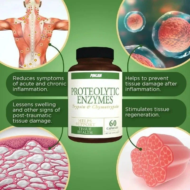 بروتيز - تريبسين وميوسين - يدعم صحة الهضم والأنسجة والمناعة - المكملات الغذائية - 60 كبسولة