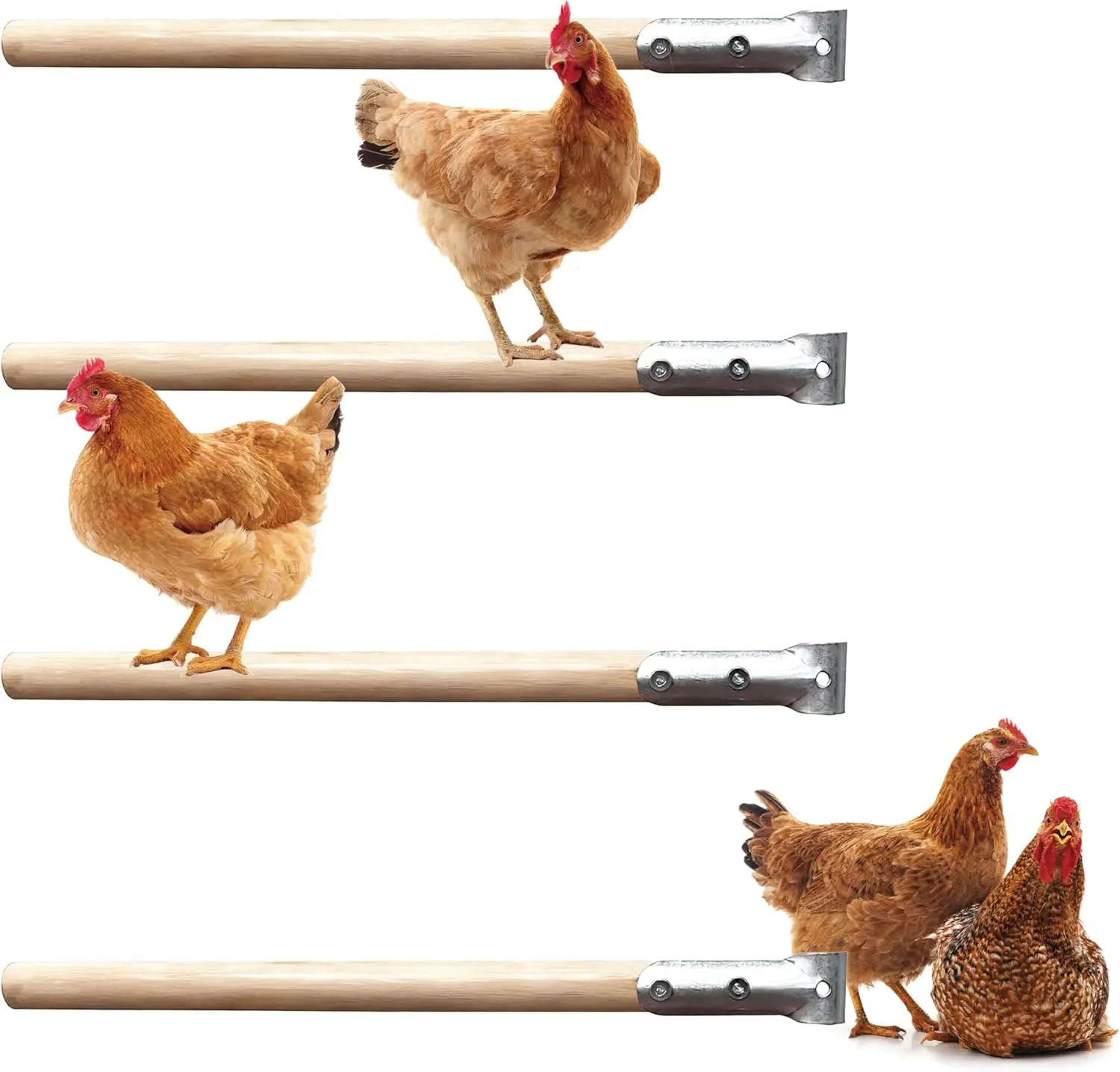 

4 pcs Chicken Roosting Bars Single Wooden Pole, Chicken Supplies For Coop,Chicken Coop Simple Accessories,Angle-Adjustable Chick