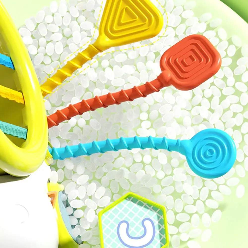 Snail Shape Sorter Toy Geometric Interactive Toys Colorful Shape Cognition Blocks Early Learning Educational