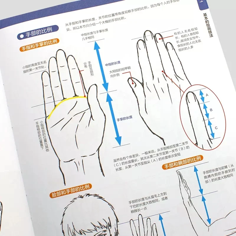 كاغامي تاكاهيرو الرسوم المتحركة اليابانية Masterclass: تقنيات الرسم اليدوي للرسوم المتحركة خطوة بخطوة للمبتدئين