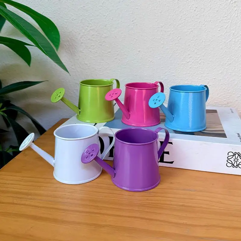 Vintage Mini Metal Watering Can Long Spout Small Pot for Indoor Potted Succulents Bonsai Home Garden Maintenance Tool