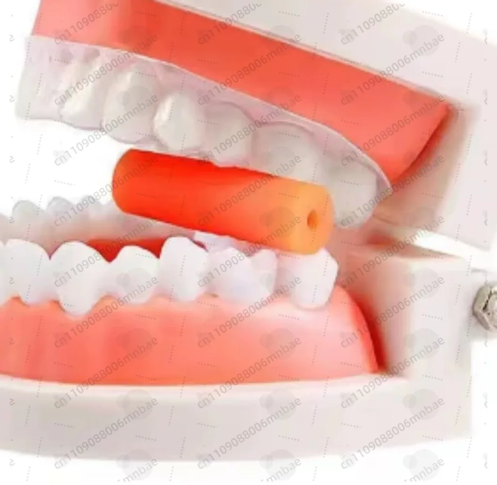 20Pcs Silicone Tray Chewies Portable Bite Stick Daily Oral Care Home Use Accessory Tool