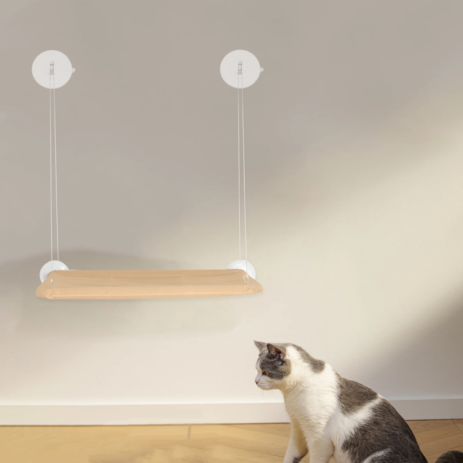 

8pcs Hammock Suction Cups Strong Replacement Suction Cups Crosshole Design For Window Lounger PVC Replacement Cat Bed Hardware