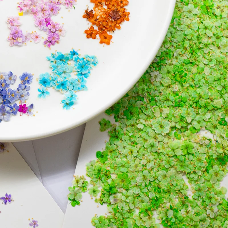 24 Stück, gepresste blaue Trockenblumen aus Spitze für DIY-Harzschmuck, Lesezeichen, Grußkarten, Scrapbooking, Aromatherapie, Kerzen, Bastelzubehör – Detail 5