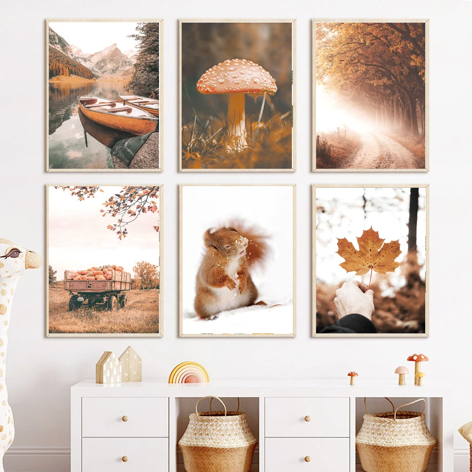 Mountain Boat Fores…