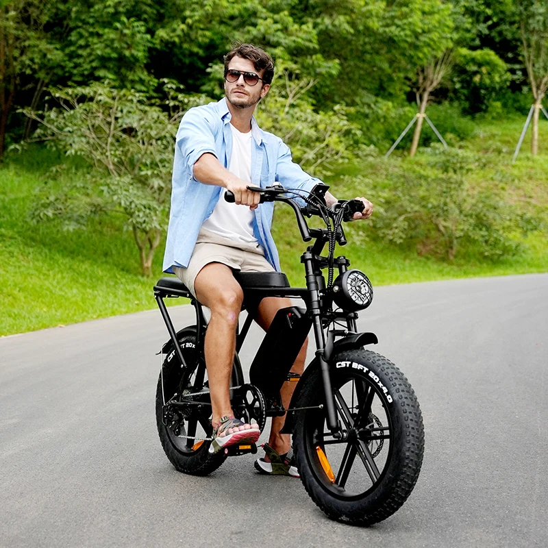 All Terrain Cruise E-bike 1000w Electric Mountain Bike Offroad Fat Tire Bike Beach Electric Bicycle