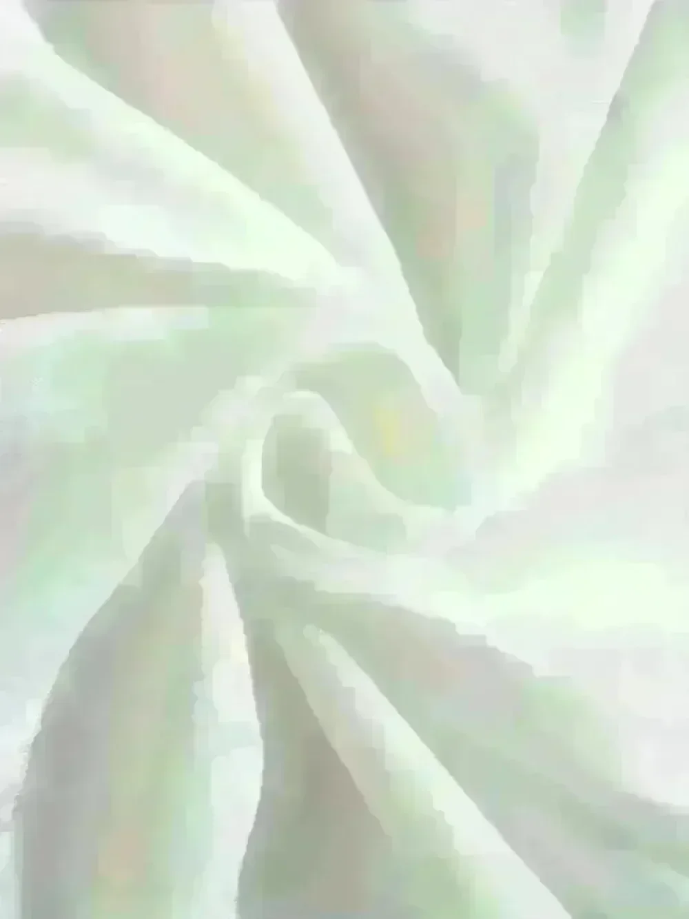 เสื้อยืดเจ้าหญิงดิสนีย์ เสื้อสเวตเตอร์เมจิกคิงดอม เสื้อยืดปราสาทเจ้าหญิงดิสนีย์ เสื้อครอบครัวสำหรับทริปดิสนีย์แลนด์