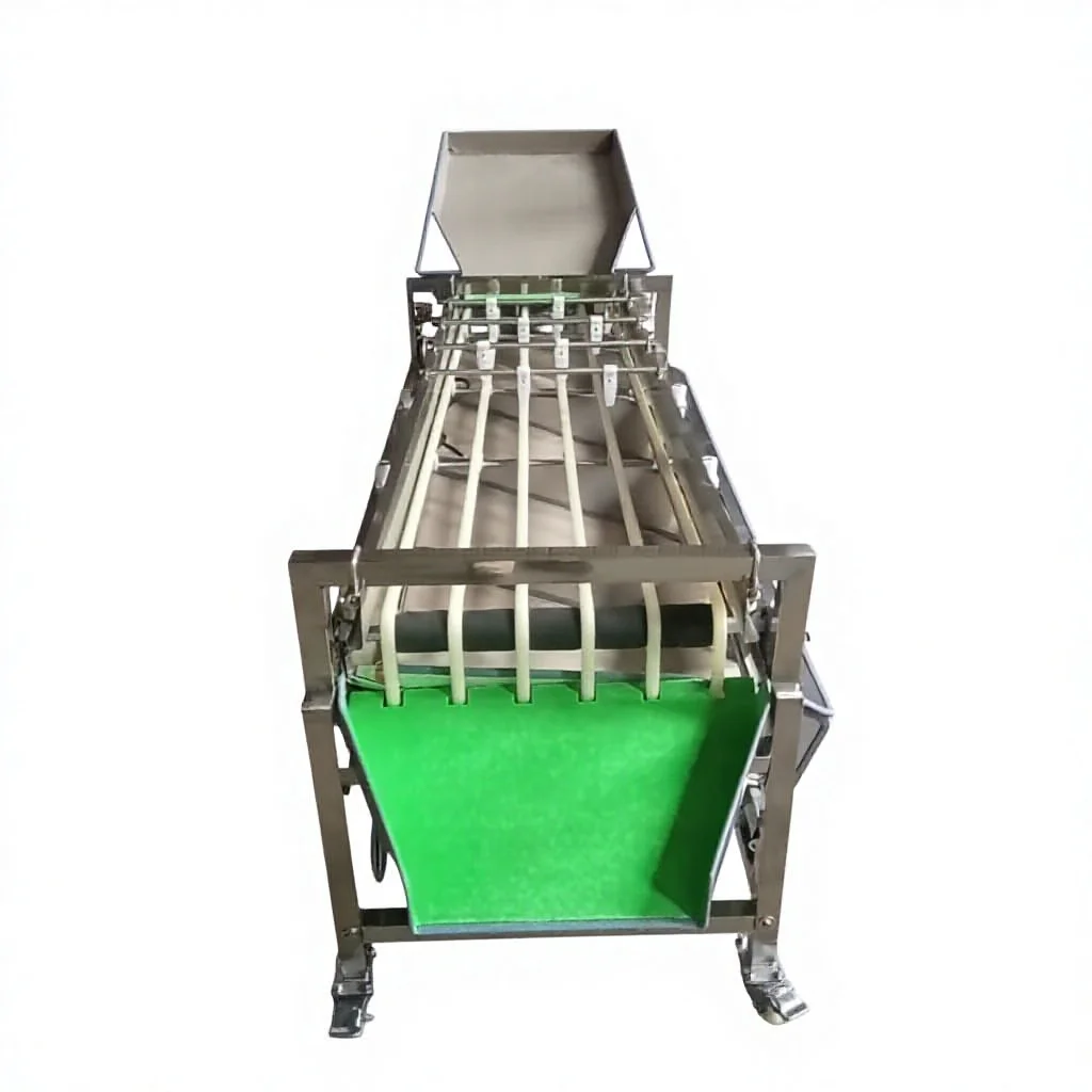 -kk Electric Multifunctional Fruit Vegetable Grading & Grinding Motor 304 Stainless Steel 2000kg/h Capacity Industrial Use