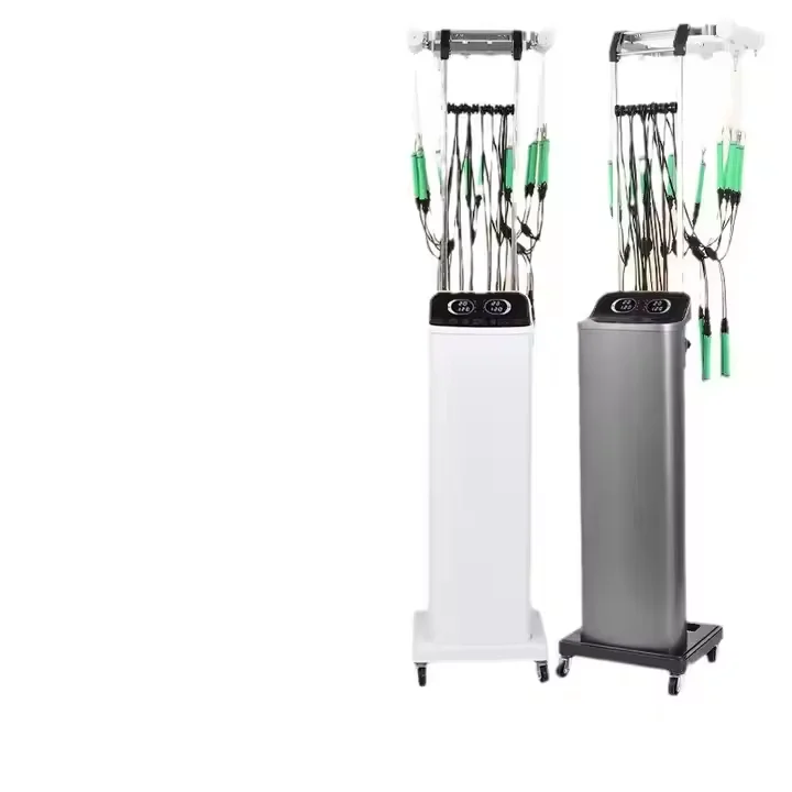 Salon Hair System 24V Intelligent Constant-Temperature Digital Perming Machine for Hair Salons Dual-Hole
