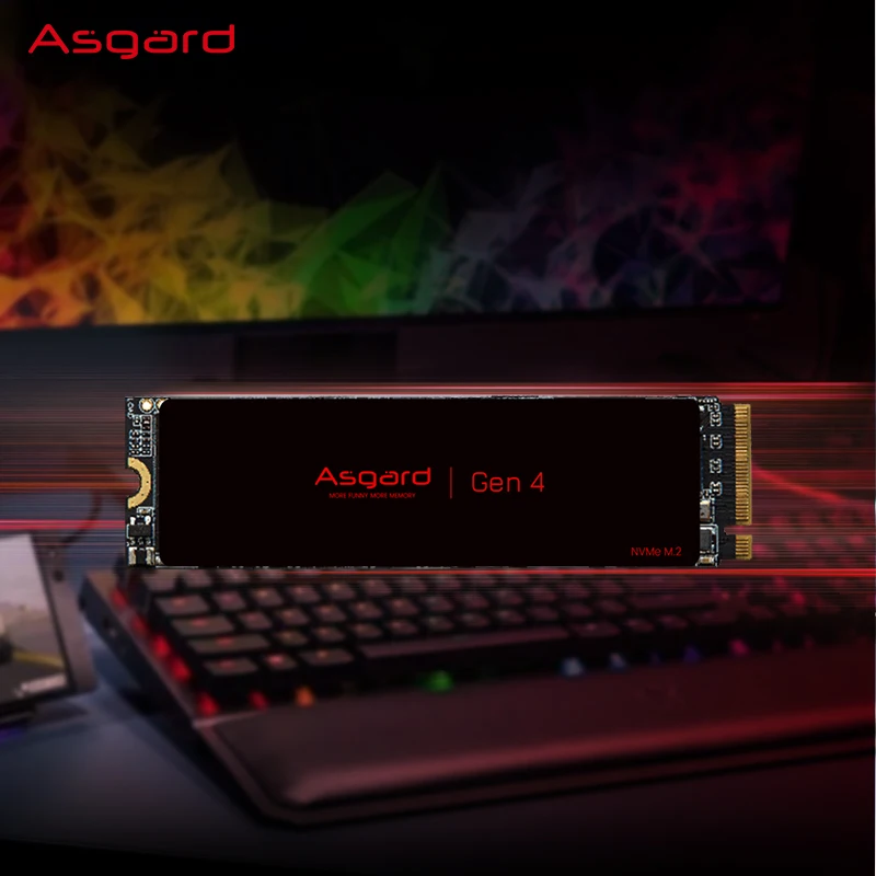 Asgard M2 512Gb PCIe 4.0 Lite SSD NVME 512Gb 1Tb 2Tb Solid State Drive Internal Hard Disk for Laptop Cache