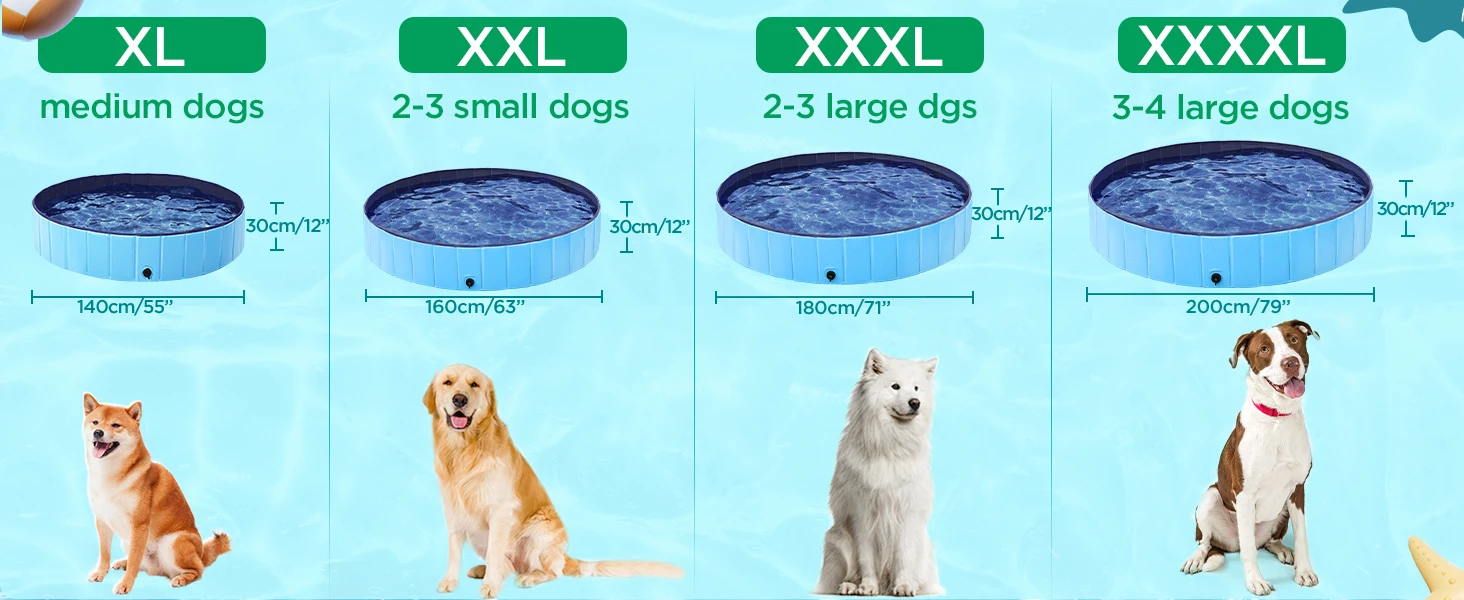 Dog Pool