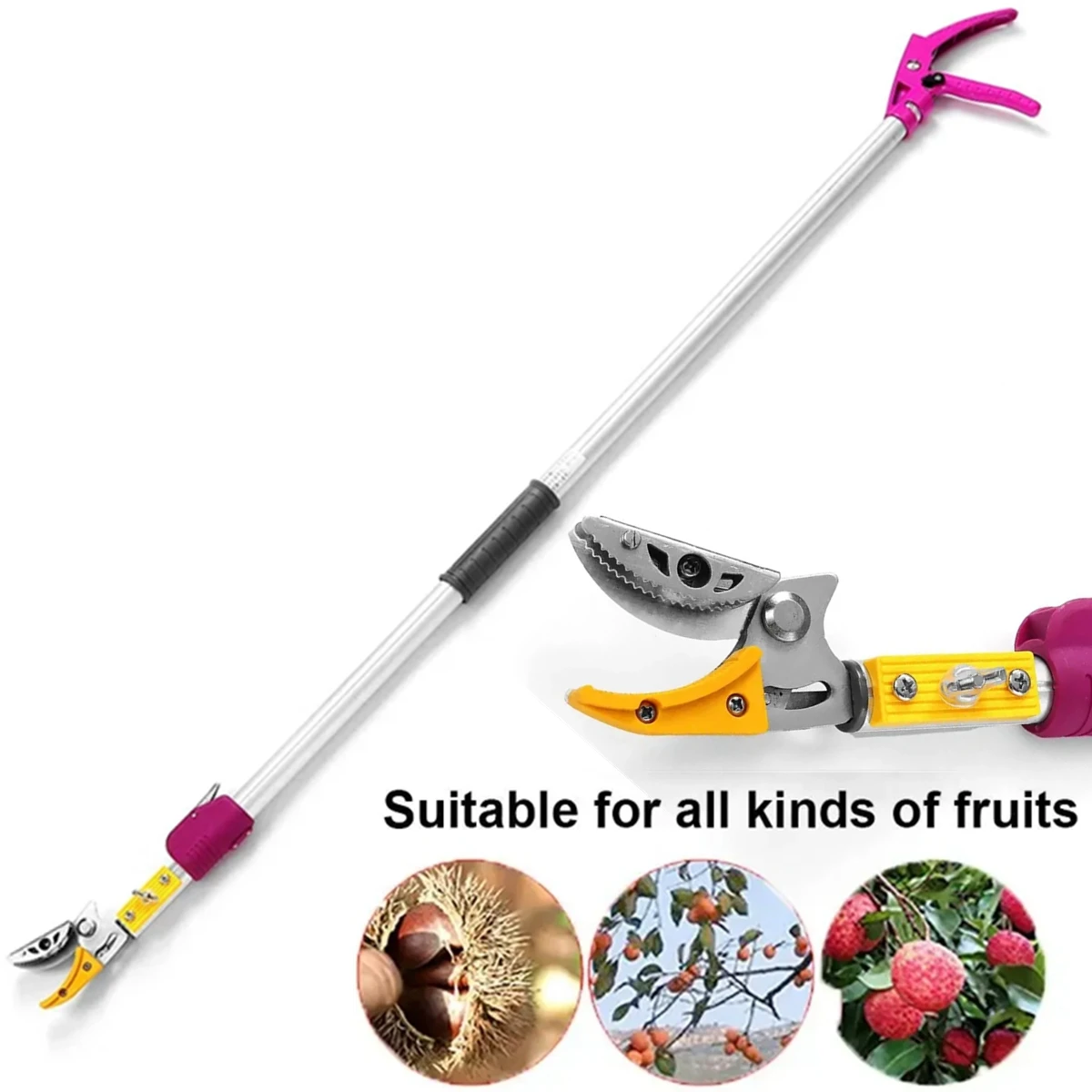 2.2m Max Cutting 1/2 inch Extra Long Reach Pruner Branch Cuttter Cut and Hold Bypass Pruner Fruit Picker Tree Cutter For Garden