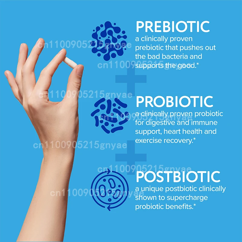 تحتوي البروبيوتيك النسائي على أدوات البريبايوتكس، التوت البري - للصحة، ميكروبيوتا الأمعاء، 60 كبسولة #2