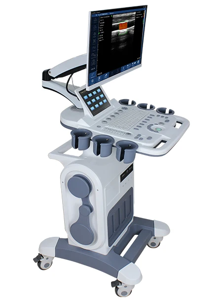 Customized Color Doppler 4D Echo Sonography, Wireless Trolley Doppler Ultrasound