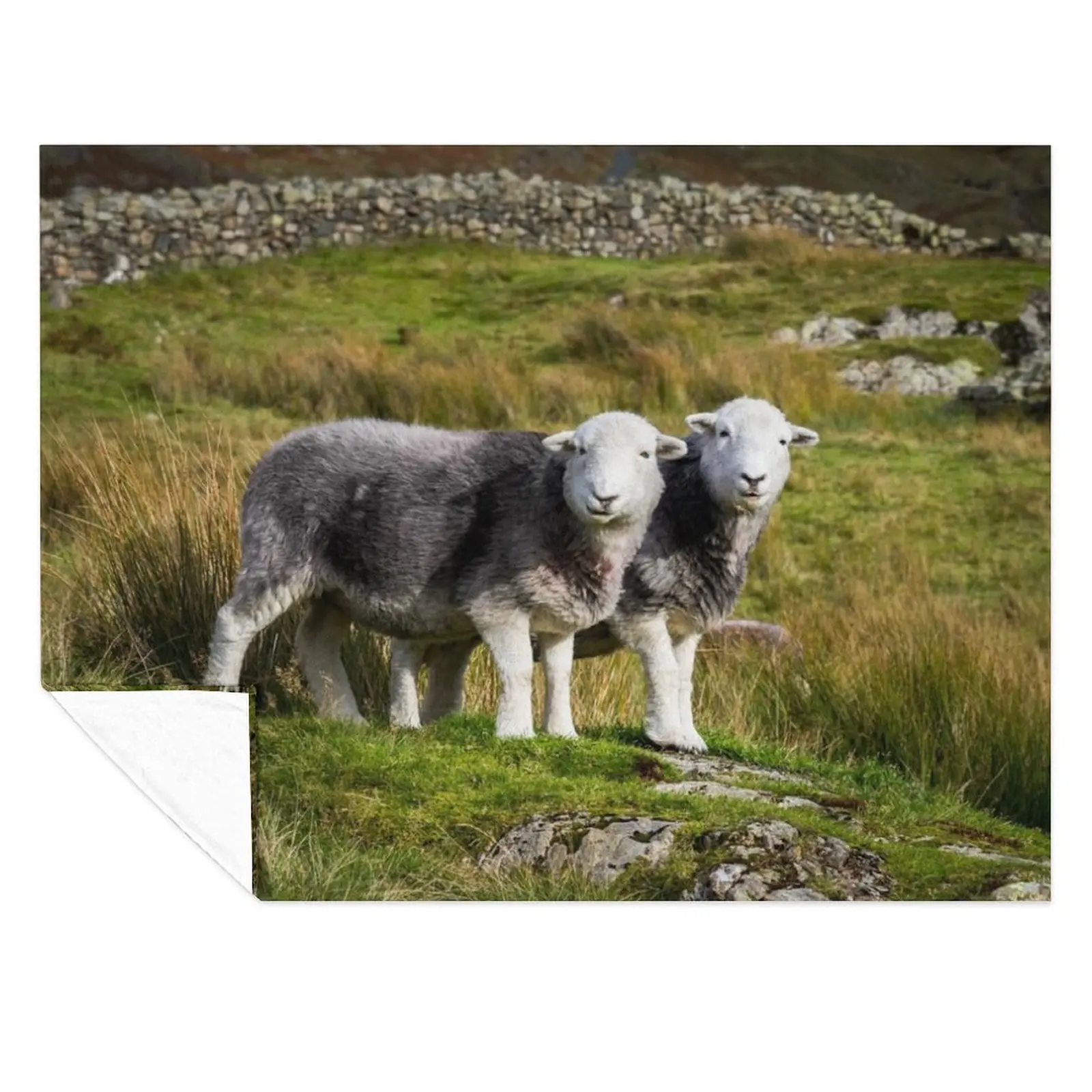 

Herdwick Sheep Landscape Throw Blanket Luxury Designer Blankets For Bed Loose for sofa Blankets