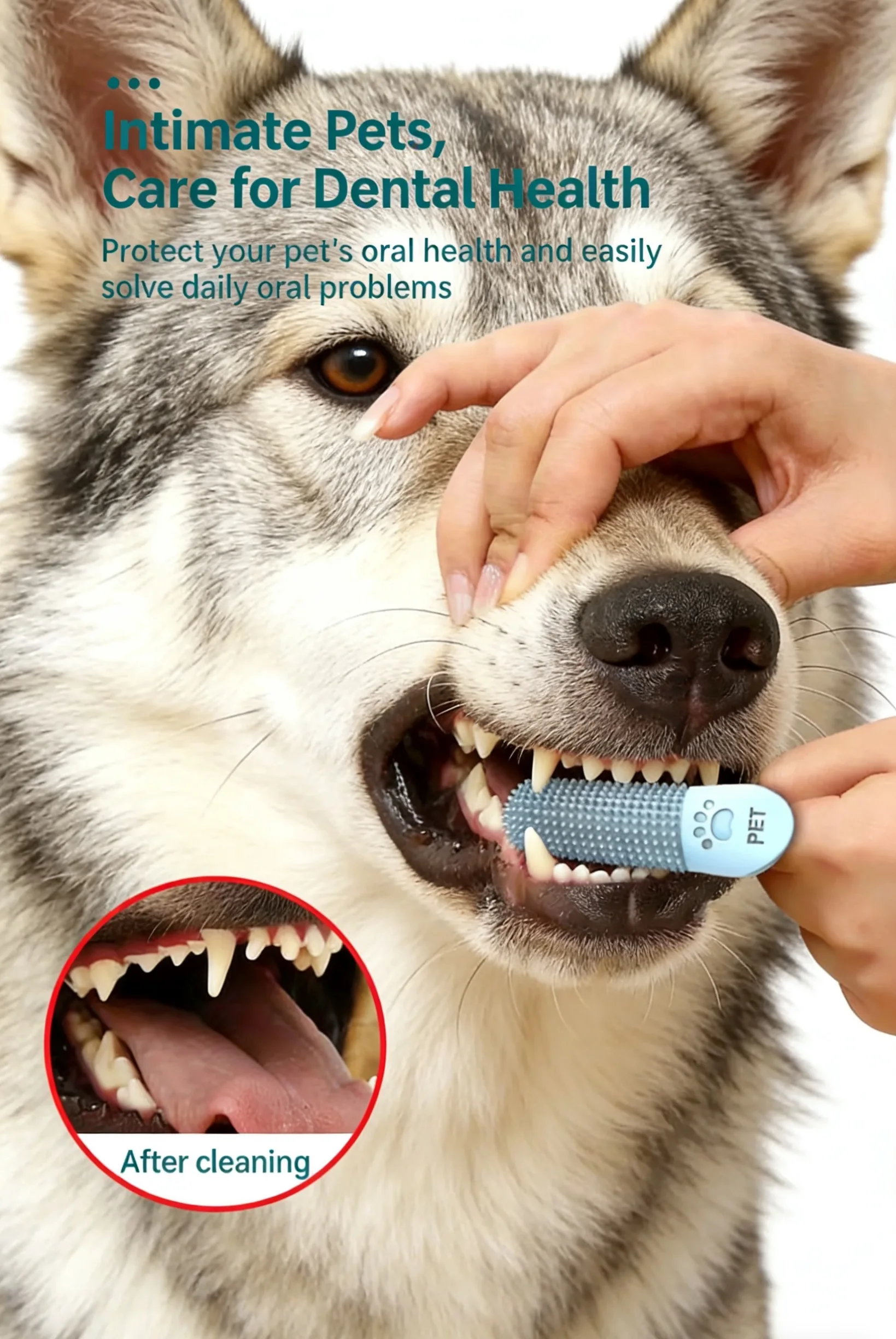 Pet Finger Toothbrush – 360° Soft Silicone Teeth Cleaning Tool for Dogs & Cats, for Teddy/Bichon/Shiba/Corgi/Golden/Labrador