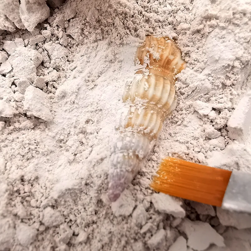 Nowe archeologiczne kreatywne DIY wykopaliski edukacyjne dla dzieci zabawki górnicze kolorowe klejnoty dinozaury zabawki żywica K3