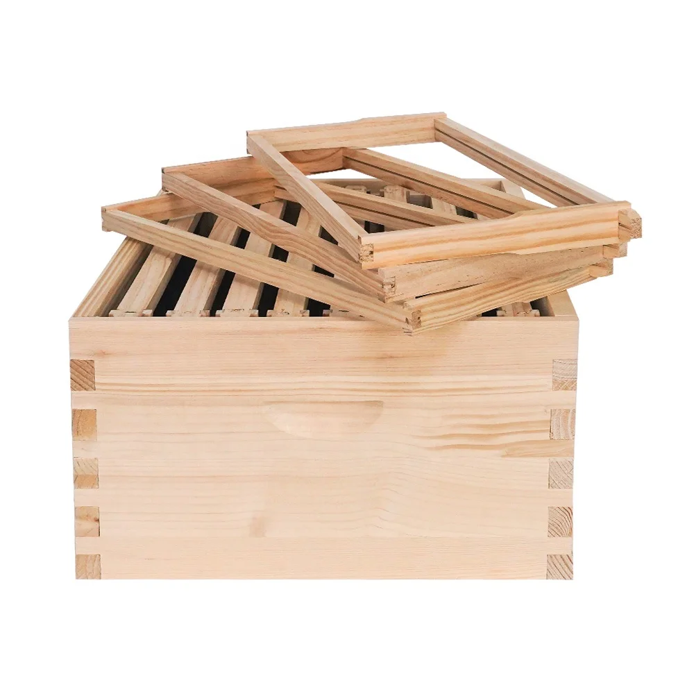 China Pine Wooden Beehive Box 3 Layers Complete Langstroth 10 Frame Bee Hive For Beekeeping Equipment