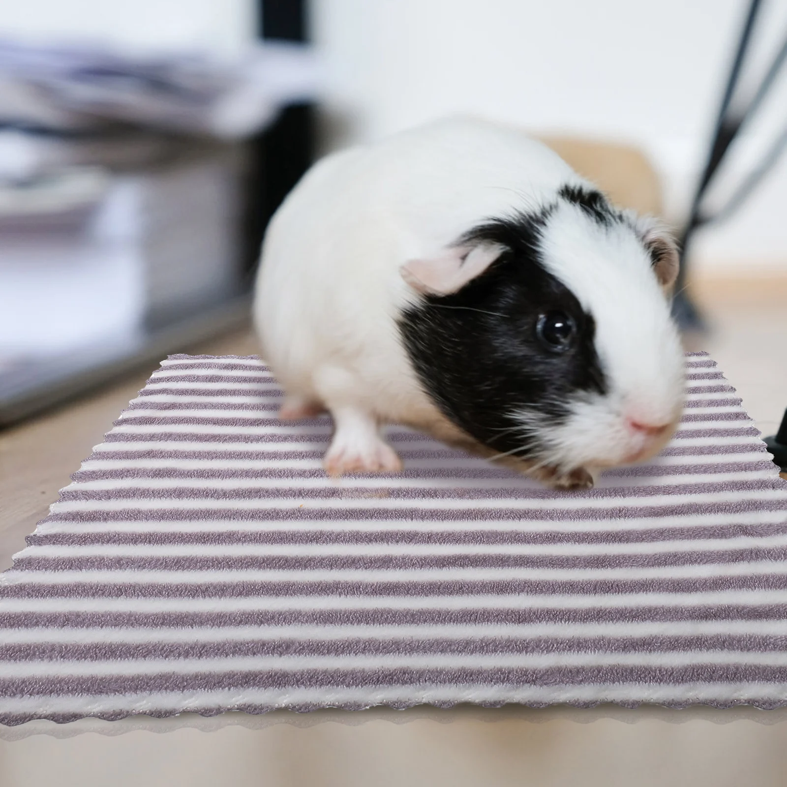 

5pcs Guinea Pig Blanket Small Pet Bath Towels Supple Hamster Cushion Quick Dry Bedding Mat Hamster Supplies Cage Liner