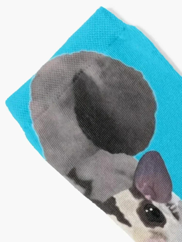 Sugar Glider Socks Crossfit winter thermal crazy new in's Designer Man Socks Women's