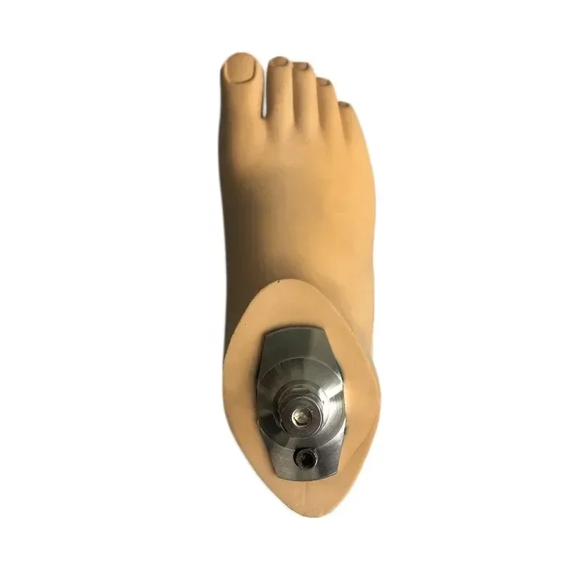 Artificial Limbs Carbon Fiber Storage Energy Sach Foot Prosthetics Leg Foot