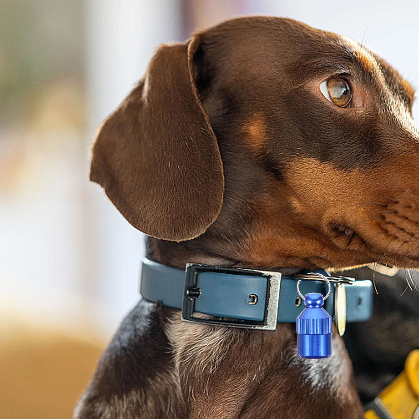 

5Pcs Pet Name Tag Aluminum Alloy Hanging Id Card Holder for Dogs Cats Collar Anti-Lost Engraved Style Pet Supplies Accessory