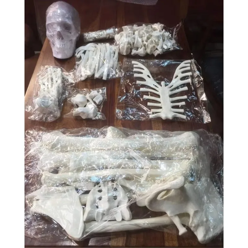 Manufacturers use about 200 bones to remove human bones