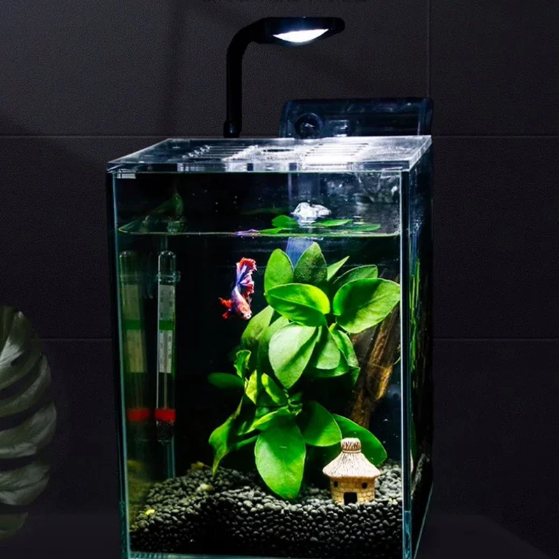 French Style Originality Living Room Ornament Aquariums Modern Designer Bedroom Aquariums Simplicity Pet Products Fishbowl HBHD