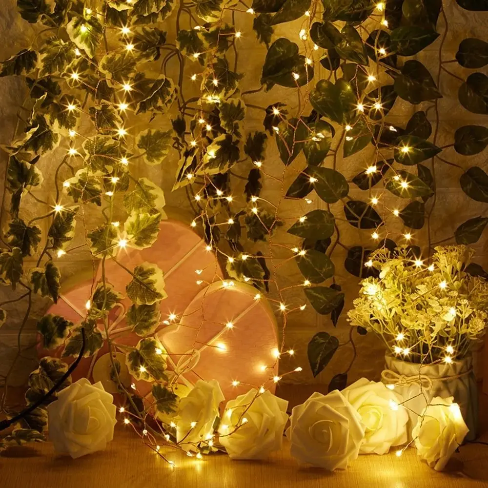 Luci a Stringa LED USB Calde/Bianche/Colorate, Dimmerabili, a Risparmio Energetico, con Telecomando, Alimentazione USB, Piccole e Colorate