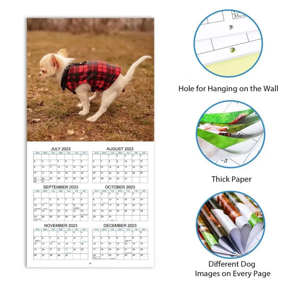 2024 Funny Dog Pooping calendario da parete Jan a Dec 2024 agenda mensile Planner capodanno Wall Crapping Dog Calendar regalo divertente Gag