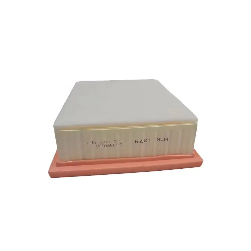 

Engine Air Filter C00065836 For MAXUS G10 1.9TDI 2013- G10 Plus 1.9TDI 2017- Cars Accessories