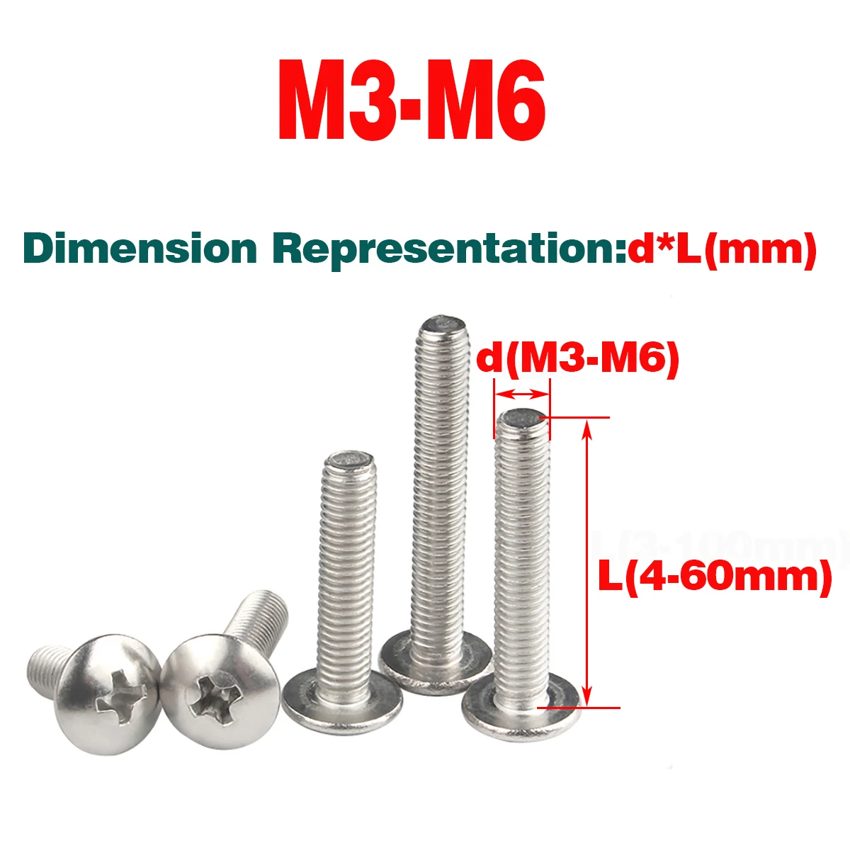 

316 SS Large Flat Head, Half Round Head Screw / Phillips Screw M3-M6