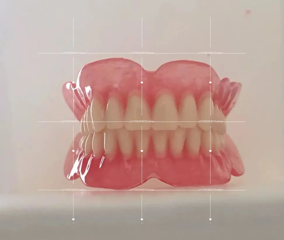 Models of The Elderly Full and Half Teeth. Batch Sample Models of Full Dentures Are Available
