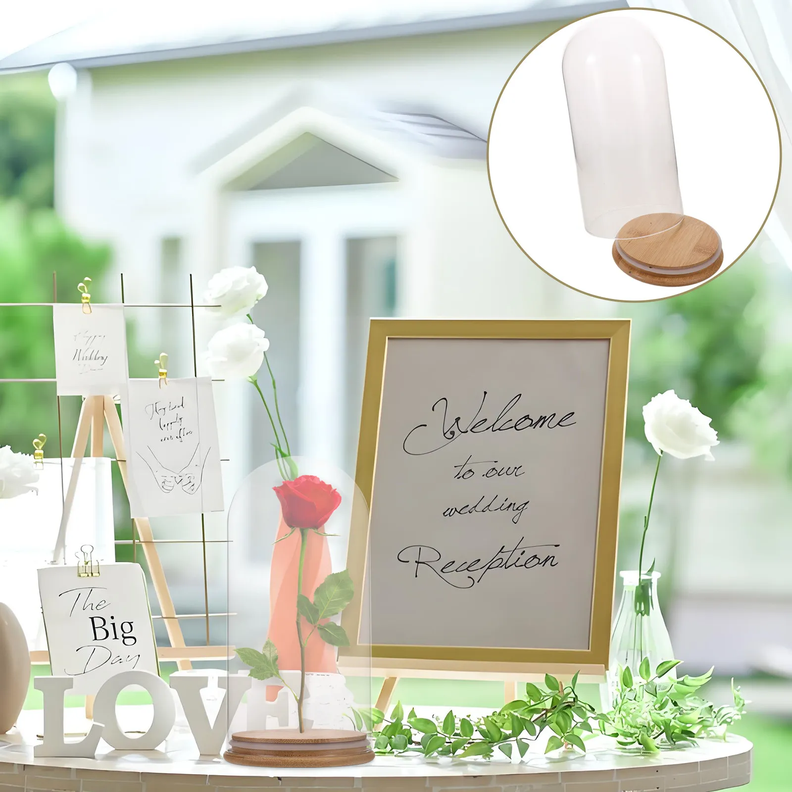 Transparent Glass Bell Jar Cloche Dome with Solid Base for Eternal Flowers Home Decor Display Stand DIY Keepsakes Clear Glass