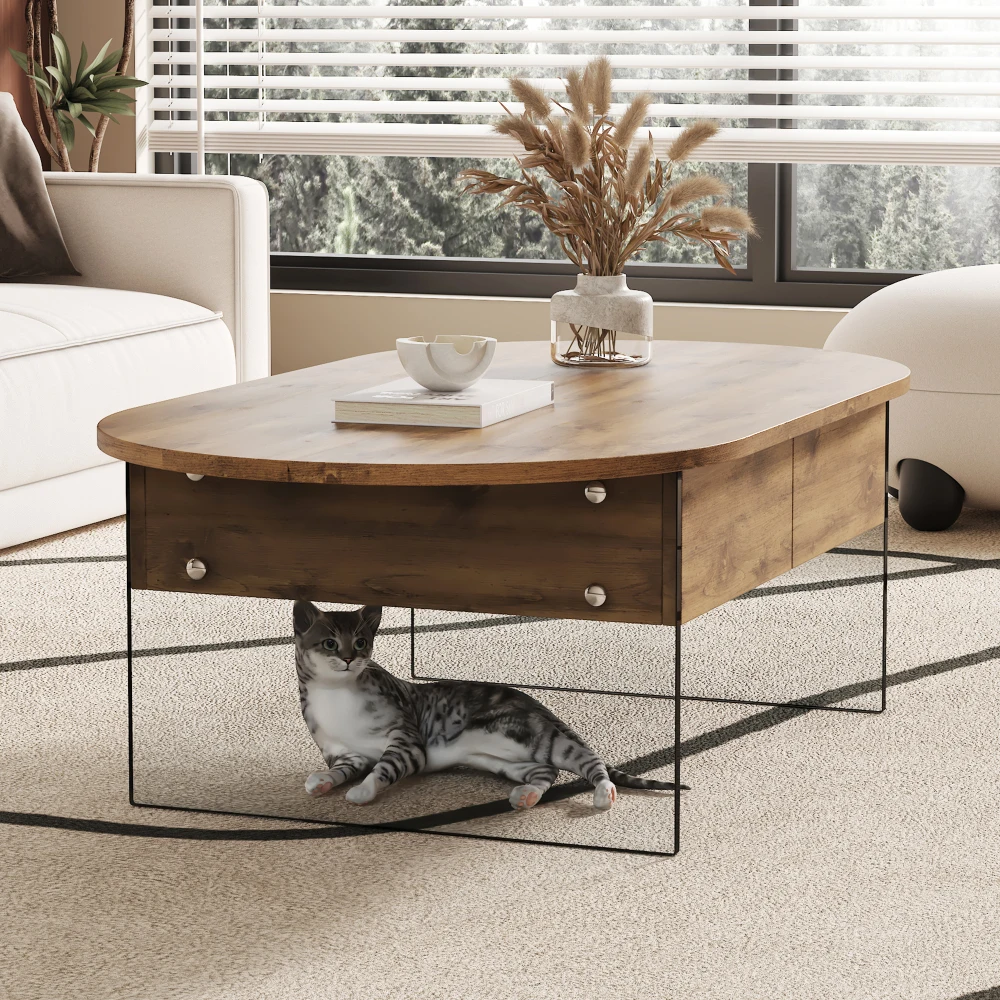 Cozy Natural Oval Double Drawer Coffee Table - 43.3"x23.6" Multi-Functional Design.Coffee table with double drawers.