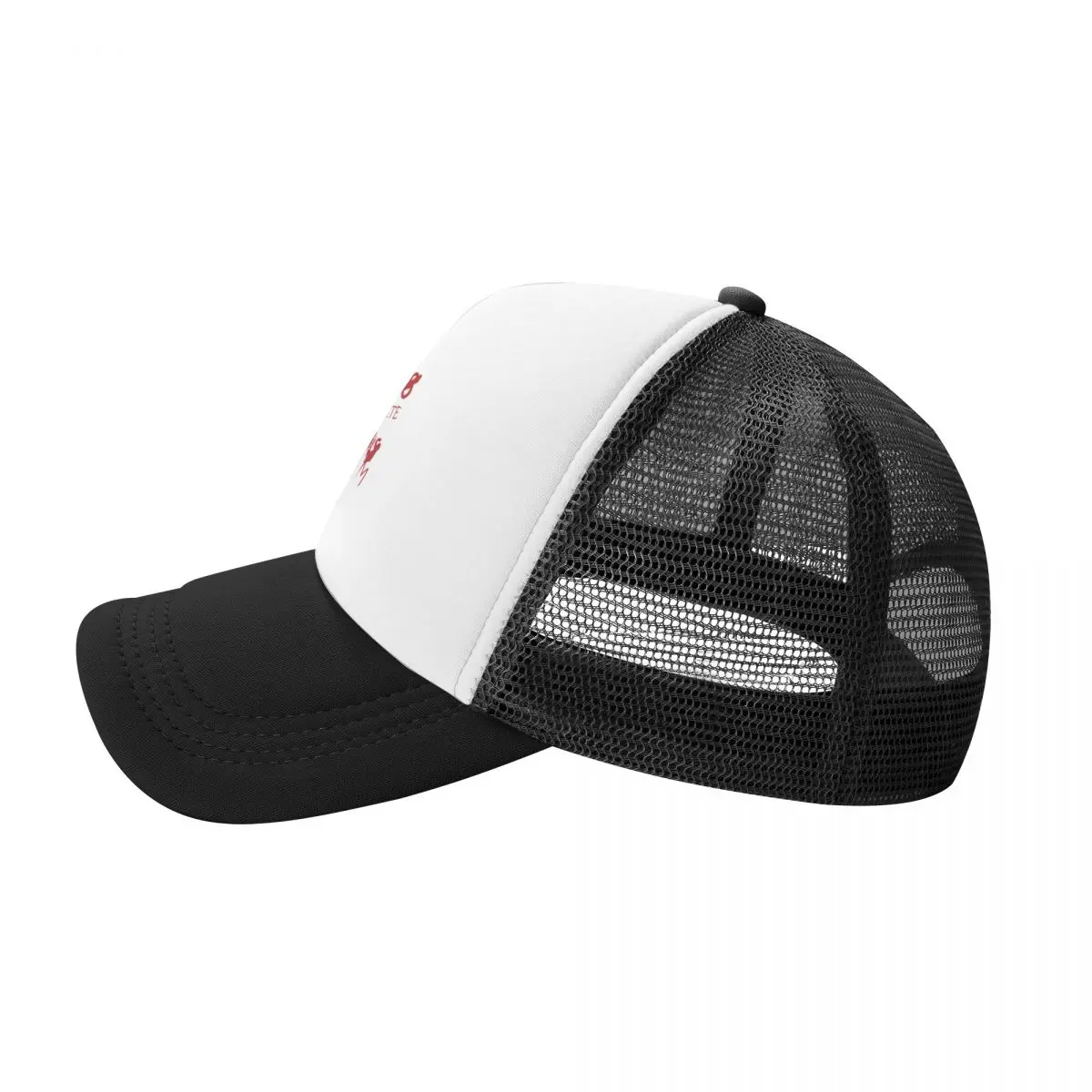 Homens e mulheres Black Golf Baseball Cap, Romanoes Eunt Domus