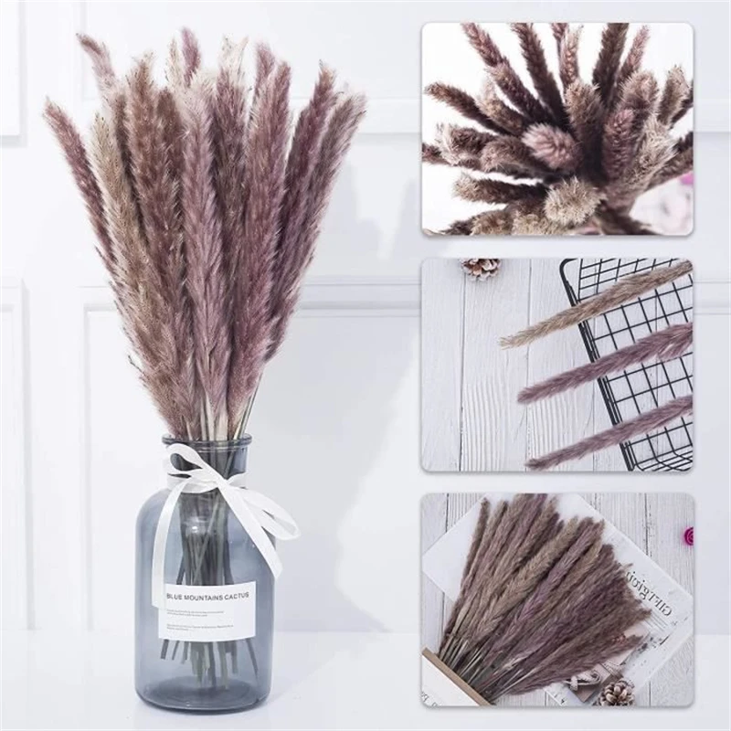 

Natural Dried Small Pampas Grass for Home Store, Artificial Flowers, Country Bulrush, Wedding Decoration, 15 Pcs