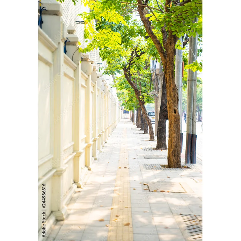 Paisaje de Isla de mar de flores y plantas verdes, casa antigua, pigmento blanco, Fondo de fotografía de boda, utilería LJD-04