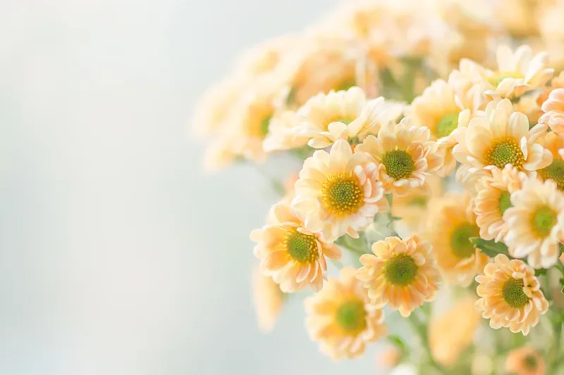 Toolkitrc C6 50W 5A…