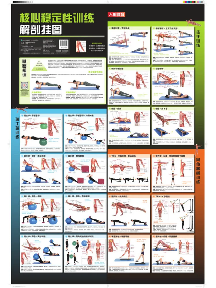 Book-Winshare Core Stability Training Anatomy Wall Chart