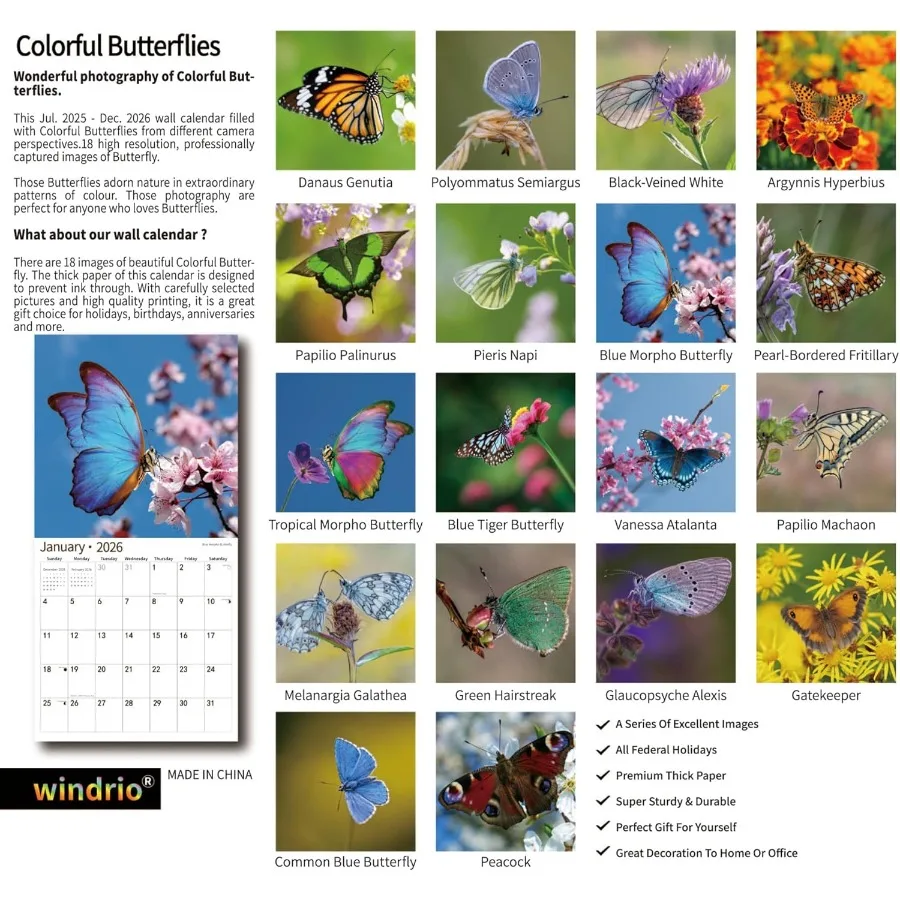 Calendario da parete 2026 Calendario 2026 luglio 2025 dicembre 2026 Calendario da parete Farfalla 12" x 24" Aperto Completo e mesi Spessore e robusto