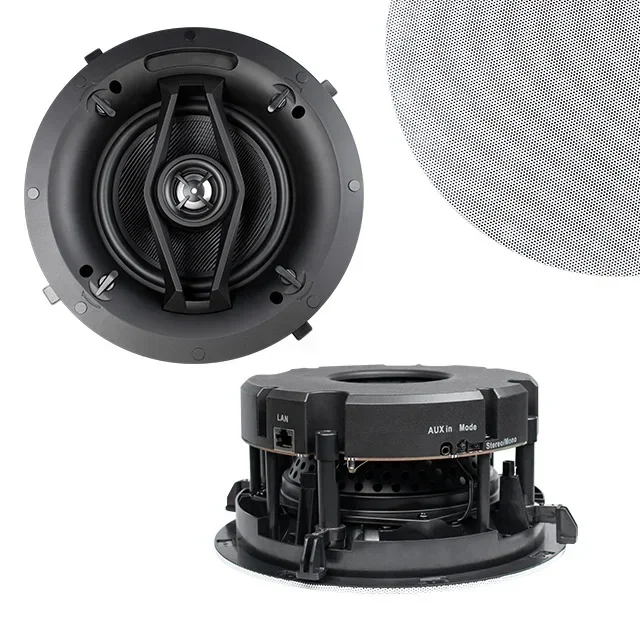 

DSPPA DW2235 wireless multiroom ceiling speaker