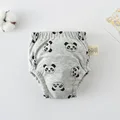 Grey panda