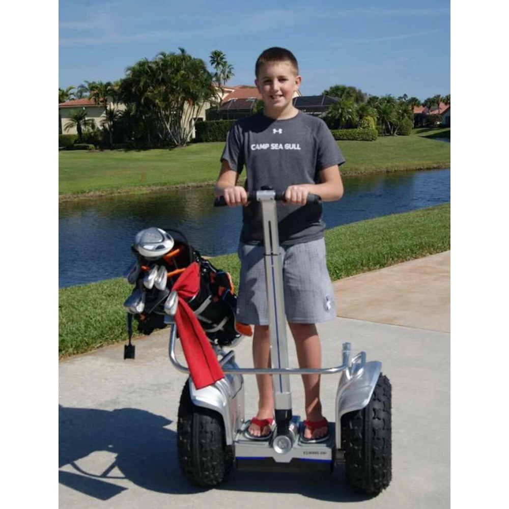 19 Inch Fat Tire for Hoverboard Electric Golf Carts Popular with Golf Bag Holder and Removable Battery Max Load 150kg view 6