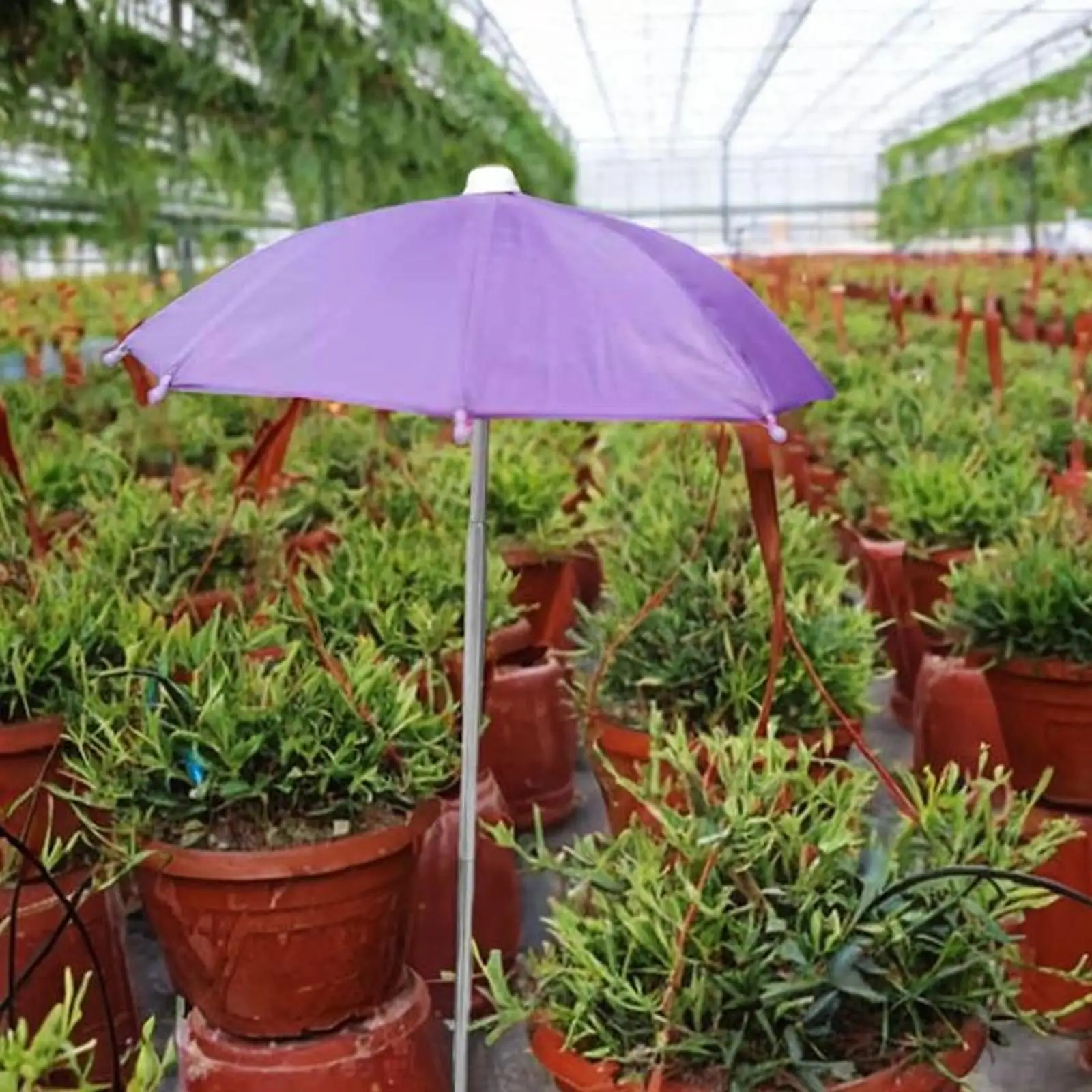مظلة نباتية خارجية غطاء ظل نباتي لسرير الحديقة بوعاء الزهور