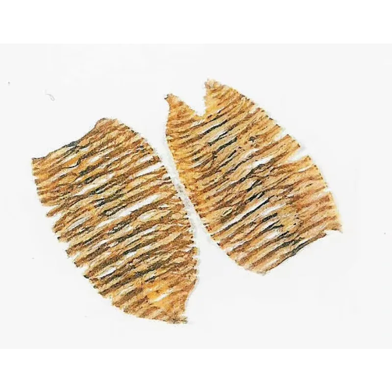 

Squid drum machine, bearing, gearbox, motor, gear