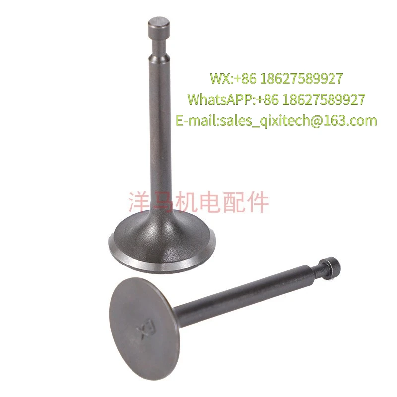 engine generator water pump micro tiller accessoriesGX160 GX200 GX390 168F 170 188Valve