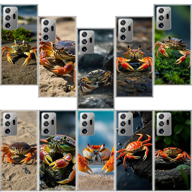 

Unique Animal Crab Phone Case for Samsung A17 A37 A57 A07 A16 A26 A36 A56 A05S A15 A25 A35 A55 Galaxy A03 A13 A23 A33 A53 A50S A