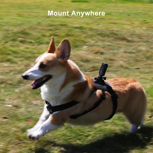 SJCAM-Action-Kamera wasserdicht, Sport Action Cam, EIS-Fahrradhelm, 4K 30 m, 2,4 g WiFi, C100 Plus 9 Hauptverkäufe W26 Bildschirm - №2